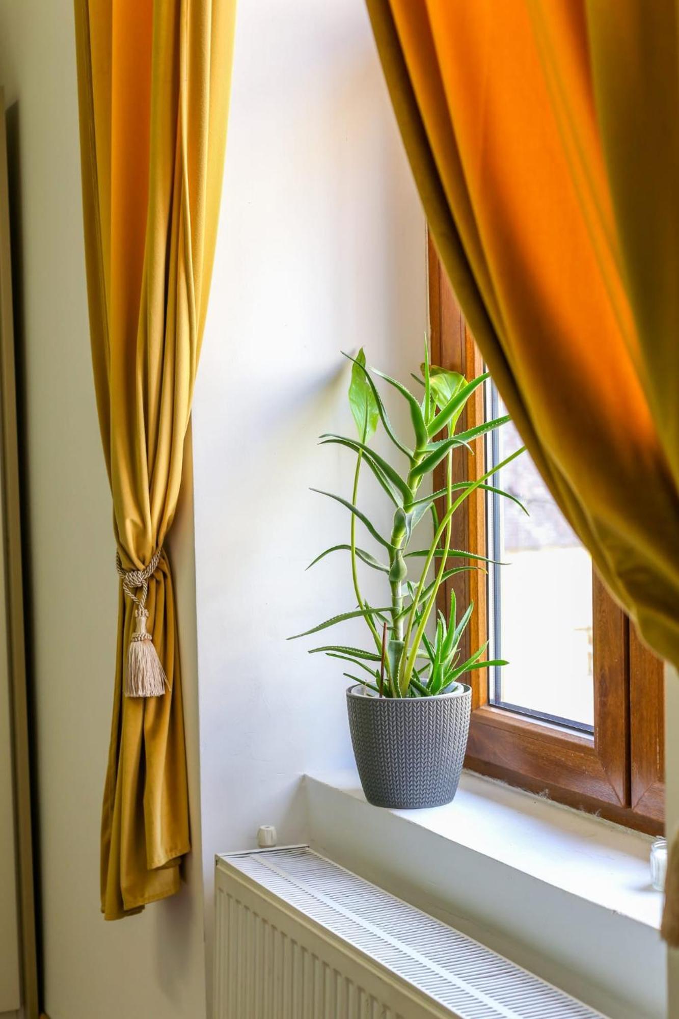 Old Town Relaxing&cozy Appartement Timişoara